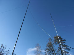 2el. inv.V beam 7MHz